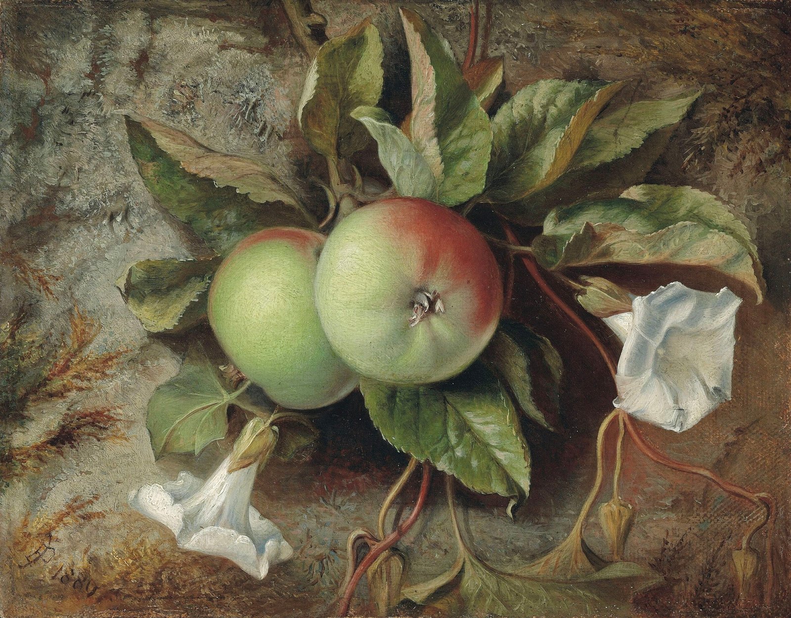 باكدج 300 لوحة فاكهة كلاسيكية (Fruit) للطباعة والديكور - الصورة 2